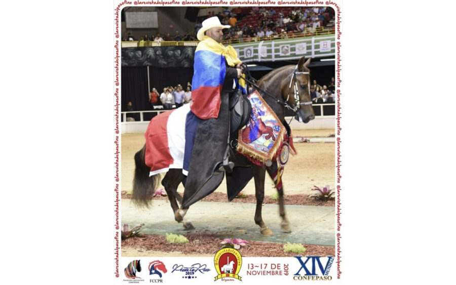 Encantadora De San Pablo, Campeona Mundial de Paso Fino Confepaso 2019